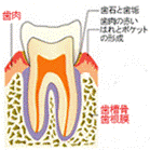 ippan09